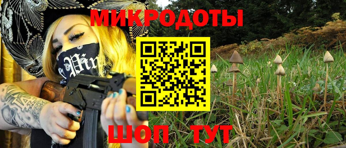 Дятьково  как найти закладки  Вход с VPN  Псилоцибиновые грибы Psilocybine cubensis 